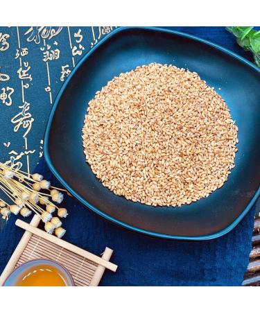 Semen Platycladi Platycladus Orientalis Platycladi Seed the Semen Boitae the Seed of Oriental Arborvitae baiziren Bozi papyriferus Cypress Seeds and Nuts cedar Seed (500 g(1.10 Pound)) - Buy Online on GoSupps.com