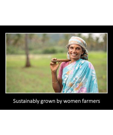 Daana Organic Safflower Oil for Skin - Extra Virgin, Cold Pressed (12 Fl Oz) - Buy Online on GoSupps.com