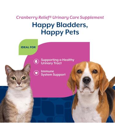 NaturVet Cranberry Relief Plus Echinacea | Helps Support a Healthy Urinary Tract & Immune System (50g Powder) Dog - Cranberry Relief 50 Gram Powder - Buy Online on GoSupps.com