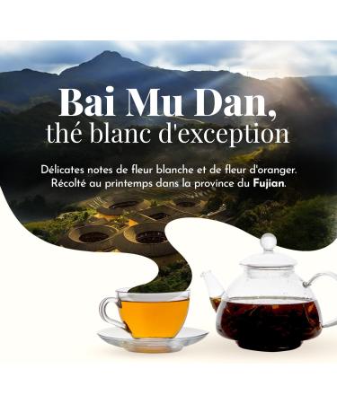 terre d'Oc - Organic White Tea from Fujian - Orange Blossom Flavor - Metal Box - Loose Leaf - Gift Idea for Men and Women - - Buy Online on GoSupps.com