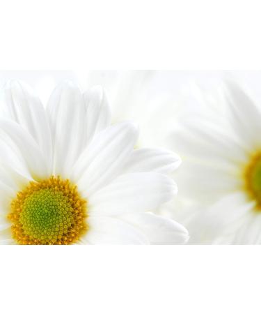 Miss Daisy Handmade Soap - Sulfate-Free Paraben-Free Non-GMO 4 Oz | International Shipping - Buy Online on GoSupps.com