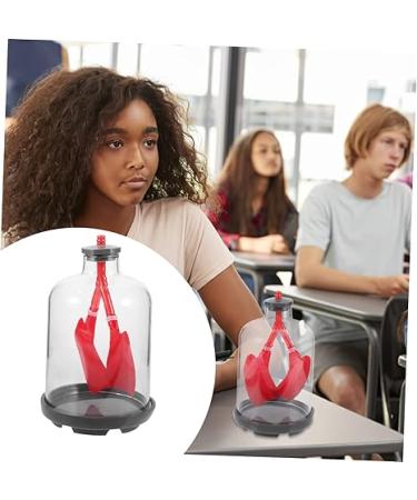 Lung Breathing Model Educational Science Toys Preschool Teaching aid Human Lung Assemble Model Human Body Anatomy Model Teaching Model aid Plastic Rubber Teaching Work Sports - Buy Online on GoSupps.com