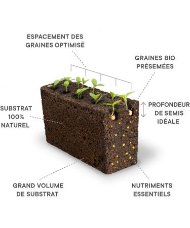 Mitsubishi Organic Japanese Parsley Lingot - Genuine Indoor Vegetable Garden and Exky Compatible - Ready to use refill - Su - Buy Online on GoSupps.com