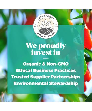 Navitas Organics Goji Berries 8 oz - Organic Non-GMO Sun-Dried Berries - 8 Servings, Sulfite-Free - 8 Ounce Pack - Buy Online on GoSupps.com