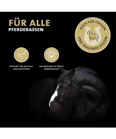 Peticare Anti-Parasite Treatment for Horses - Fight Mites Fleas & Fungi | Relieves Itching & Supports Skin Regeneration | Pethorse Protect 2002 (250 ml) - Buy Online on GoSupps.com