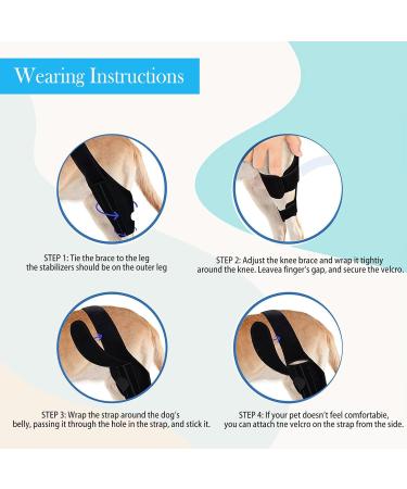 Dog Knee Brace for Back Leg Dog Elbow Brace Protector Pads for Support with Cruciate Ligament Injury Dysplasia Osteoarthritis Dog Leg Braces Adjustable Dog Rear Leg Braces (M) - Buy Online on GoSupps.com
