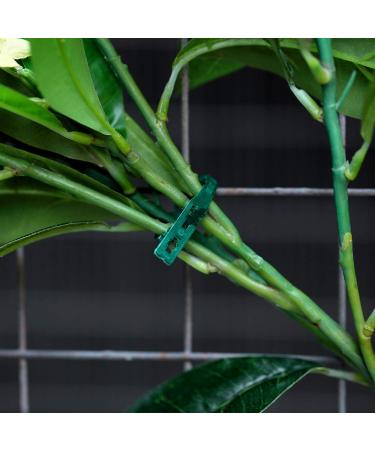 WILLBOND Adjustable Garden Plant Ties - 200 Pieces - Cable Tie - Buy Online on GoSupps.com