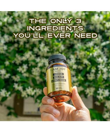 I Am Joy Ormus Shilajit Lion's Mane Hemp Protein Powder - Ultimate Brain Power with Monoatomic 24k Gold - 60 Vegan Capsules - Buy Online on GoSupps.com