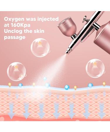 Handheld Facial Oxygen Injector 3 Bottles Fine Mist Facial Oxygen Injector High Pressure USB Rechargeable Skin Rejuvenation for Beauty Salon (Pink) - Buy Online on GoSupps.com
