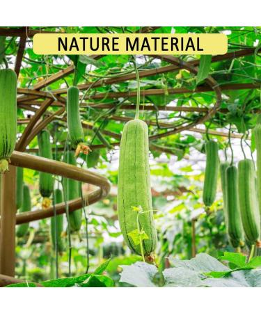 8 Pcs Natural Loofah Sponge Organic Loofah Sponge Organic Luffa Organic Sponge Bath for Shower Scrubbing and Kitchen Cleaning(6 * 10cm) - Buy Online on GoSupps.com