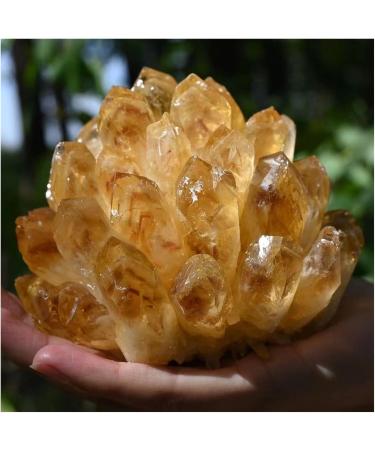 Natural Raw Citrine Quartz Stone Crystal Cluster Yellow Stones Specimen Home Decoration 1pcs Crystal Cluster (Size : 450-550g) - Buy Online on GoSupps.com