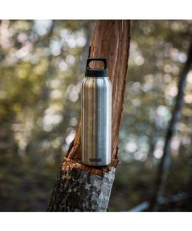 SIGG Insulated Water Bottle 17oz - Thermo Flask Hot Cold - Leakproof BPA-Free Stainless Steel - Multicolor - Buy Online on GoSupps.com