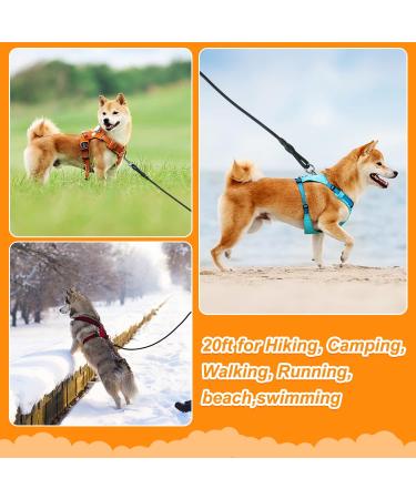 Vivifying 20FT Floating Long Dog Lead for Outdoor Training - 6m Black - Buy Online on GoSupps.com