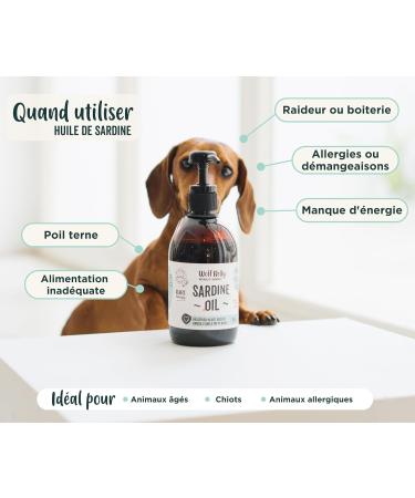 Wolf Belly - 100% Natural Sardine Oil for Dogs and Cats (500 ml) Rich in Omega 3 6 9 and Vitamin E Healthy Skin and Shiny Coat Strong Joints Healthy Immune System - Made in EU - Buy Online on GoSupps.com