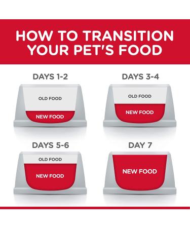 Hill's Science Diet Senior Wet Dog Food Adult 7+ Chicken & Vegetable Stew 12 Pack - Buy Online on GoSupps.com