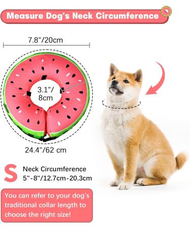 Buy Inflatable Dog & Cat Recovery Collar | Adjustable Buckle | Leak Protection for Post-Operation Care - Sizes S (12.7cm-20.3cm) - Buy Online on GoSupps.com