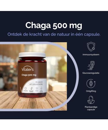 NMM Sp z oo Vitalers Chaga 500 mg 60 capsules vegan 2 months supplementation no preservatives pure composition - Buy Online on GoSupps.com