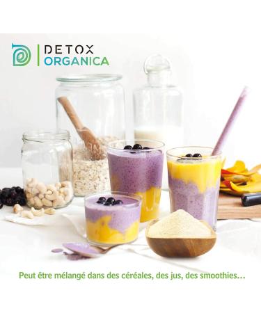 Detox Organica Psyllium Blond Bio Powder - Organic Psyllium Powder - 500 g - Plant Rich in Fibers 100% Natural and Vegan - Buy Online on GoSupps.com
