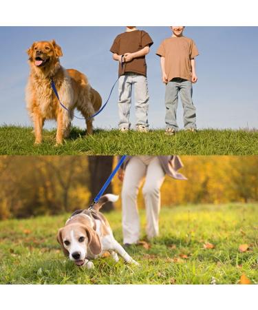 DOKI Reflective Double-Sided Nylon Dog Lead with Padded Handle - 1.2m Strong Leash for Small, Medium, Large Dogs (3.9FT Blue) - Buy Online on GoSupps.com