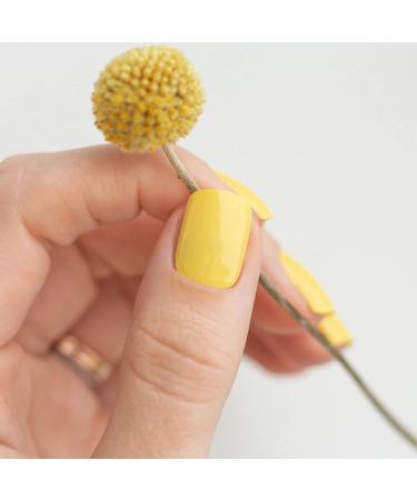 Shop Avoa Beauty Nail Film - Do Me a Lemon | Opaque Yellow Monochrome Design 16 Long-Lasting Self-Adhesive Nail Wraps - International Shipping Available - Buy Online on GoSupps.com