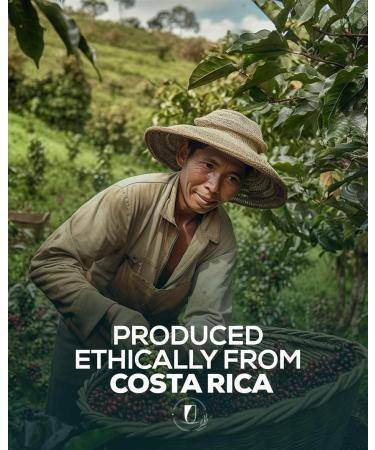 Lucky Cuppa's "221b Bakers Brew" Costa Rica Tarrazu San Rafael Conundrum Coffee - Dark Roasted Whole Coffee Beans - Sherlock Holmes Gifts for Coffee Lovers - 1kg - Buy Online on GoSupps.com