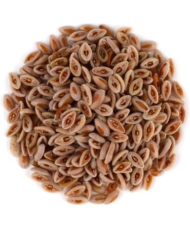 Mynatura Bio Psyllium 2x1000g - 99% Pure Raw Food Fiber for Humans & Animals | De- ko-044 Natural Protein Supplement - Buy Online on GoSupps.com