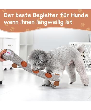 FWLWTWSS Interactive Dog Toys - Squeaker Snuff Toys for Stress Reduction & Food Intensity Training - Buy Online on GoSupps.com