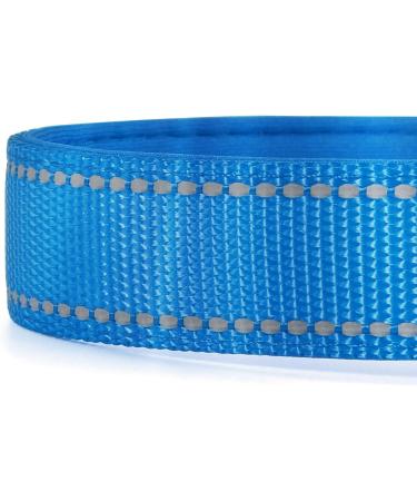PCOTLLAR Reflective Dog Collar - Adjustable Neoprene Comfort for Small & Large Dogs Soft & Padded - Blue (XS 25-35cm) - Buy Online on GoSupps.com