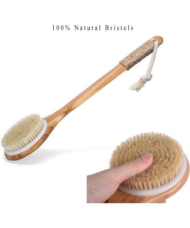Chikoni Dry Bath Body Brush Back Scrubber with Long Wooden Handle - 100% Natural Bristles for Exfoliation, Detox, Cellulite, and Blood Circulation - Health-Boosting Body Massager - Buy Online on GoSupps.com