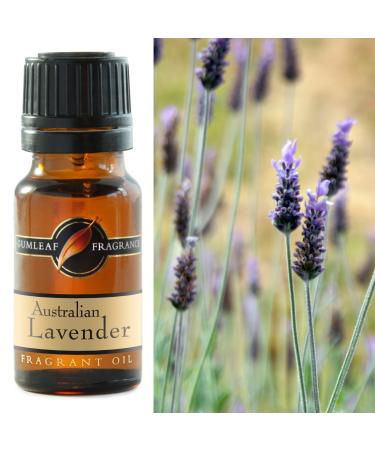 Gumleaf Fragrance Australian Lavender Fragrant Oil - 0.34fl oz Cruelty Free & Vegan Phthalate-Free Fragrance