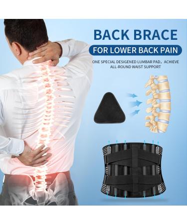 Back Brace for Lower Back Pain Relief | Sciatica & Herniated Disc Support | Lumbar Pad for Home & Work Large (37.4 -45.3  - Buy Online on GoSupps.com