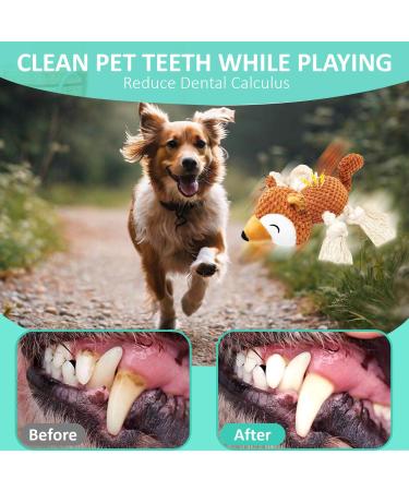 Aeitpet Dog Toys for All Breeds - Squeaky Plush Toys for Large & Small Dogs - Cuddly Dog Toys with Crinkle Paper - Buy Online on GoSupps.com