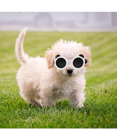 Shop Panda Style UV Glasses for Small Dogs | Eye Protection & Comfort | Windproof & Anti-Fitting Cat Glasses - Buy Online on GoSupps.com