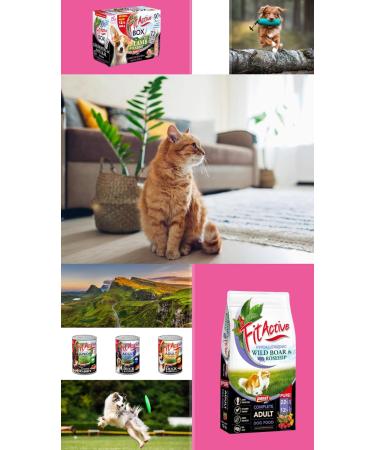 FitActive Originals Hypoallergenic Lamb - Dog Food with Hypoallergenic Formula and Chicken Free - Suitable for all adult dogs of medium to large breeds - Adult (Regular 4000 g) - Buy Online on GoSupps.com