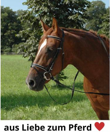 Buy Sweet Iron Pelham Bit | Premium Quality Equestrian Gear for International Shipping - Buy Online on GoSupps.com
