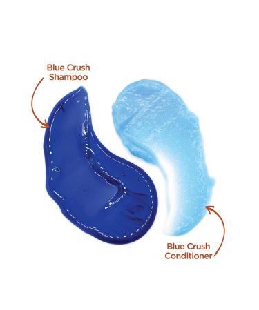Blue Crush Conditioner for Brunettes | Moisturizing Formula for Color-Treated & Natural Hair | 8.3 oz (Pack of 2) - Buy Online on GoSupps.com