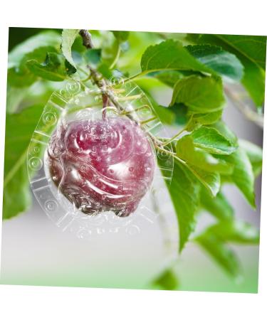 GANAZONO Shaped Growth Mold Fruit Vegetable Growing Mold Small Shaper Molds Shaping to Play with Maitreya - Buy Online on GoSupps.com