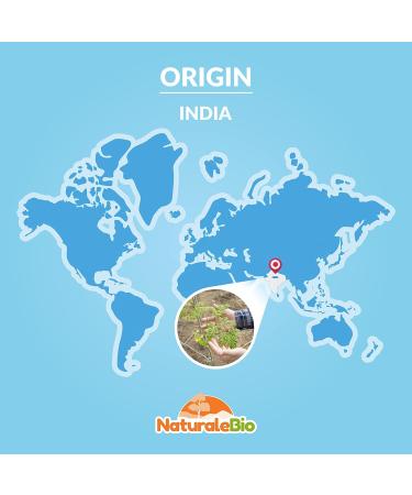Organic Moringa Oleifera Leaf Powder 1kg - Premium Quality Bio Natural Pure NaturaleBio - Pack of 1 - Buy Online on GoSupps.com