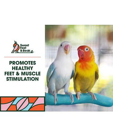 Safety Pumice Perch for Birds | Trim Nails and Beak | Promote Healthy Feet | Non-Toxic | X-Small 6 Blue - Buy Online on GoSupps.com