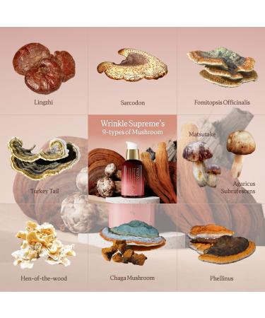 Buy The Skin House Wrinkle Supreme Serum - Fermented Red Ginseng Anti-Aging Face Serum | K-Beauty 20ml - International Shipping Available - Buy Online on GoSupps.com