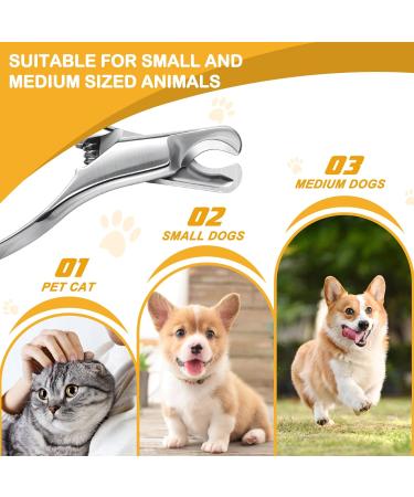 Bezox Professional Claw Scissors for Dogs & Cats | Ergonomic Claw Cutter for Small & Medium Pets | Sharp Blades for Expert Pet Nail Care - Buy Online on GoSupps.com
