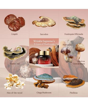 Buy THE SKIN HOUSE Wrinkle Supreme Cream - Korean Fermented Red Ginseng & Adenosine for Anti-Aging | 1.69 fl.oz - Best Korean Skin Care for Wrinkles & Fine Lines - Buy Online on GoSupps.com