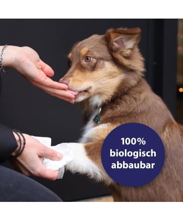 Canosept Universal Care Cloths for Dogs - 160 Wet Wipes for Ear Paw Eye & Fur Care with Aloe Vera & Hamamelis - Buy Online on GoSupps.com