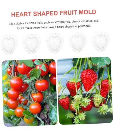 Gogogmee 5pcs Fruit Shaping Mold Plastic Fruit Cucumber Shaping Tool Vegetable Shaping Tool Garden Tools - Buy Online on GoSupps.com