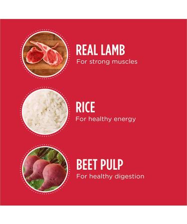 IAMS Proactive Health Minichunks Dog Food Dry Adult Lamb & Rice Recipe 13.6kg (30LB) Bag & Proactive Health Wet Dog Food Adult Lamb & Rice Classic Ground 369g Can (12 Pack) 13.6 kg (Pack of 1) Dog Food + PET_FOOD 439212 - Buy Online on GoSupps.com