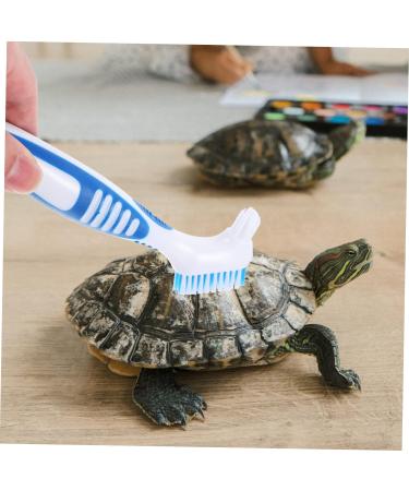 Turtle Shell Cleaning Brush Reptile Cleaning Brush Denture Brush for Shell Grip Cleaning Brush Double-side Tortoise Food Bristle Brush Household Plastic - Buy Online on GoSupps.com