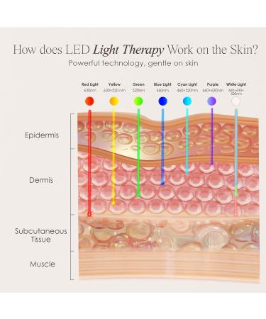 Project E Beauty Photon Skin Rejuvenation Face & Neck Mask | Wireless LED Photon Therapy 7 Color Light Treatment Anti Aging Wrinkles Facial Beauty Skin Care Mask - Buy Online on GoSupps.com