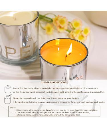 White Peach Oolong Scented Candle - 5.3Oz Natural Soy Wax Aromatherapy Jar | Long Lasting Fragrance for Home Meditation & Yoga | Perfect Gift for All - Buy Online on GoSupps.com