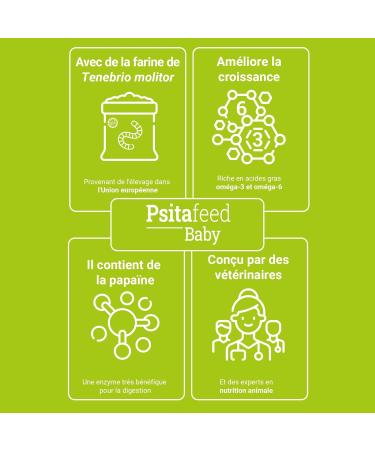 Nutritious Pate for Psittacidae 500g - Food for Parrots Macaws Lovebirds Parakeets Canaries and Sparrows - Stimulates - Buy Online on GoSupps.com