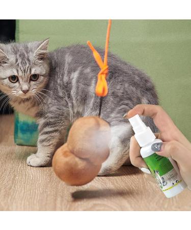 Cat Catnip Spray - Natural 50ml Catnip Spray - Cat Accessories for Indoor Cats Cat Catnip for Indoor/Outdoor Use for Training Redirecting Behaviors Frifer - Buy Online on GoSupps.com
